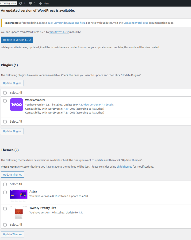 WordPress Update